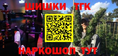 стаф Лесосибирск