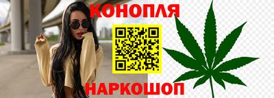 стаф Лесосибирск
