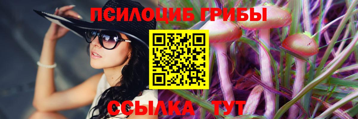 Псилоцибиновые грибы Psilocybe Выкса