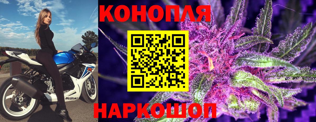 Каннабис планчик  Конопля гибрид  Вход с VPN  Каннабис сатива  Выкса 